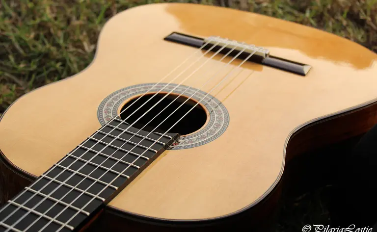 Guitarras de luthier madagascar