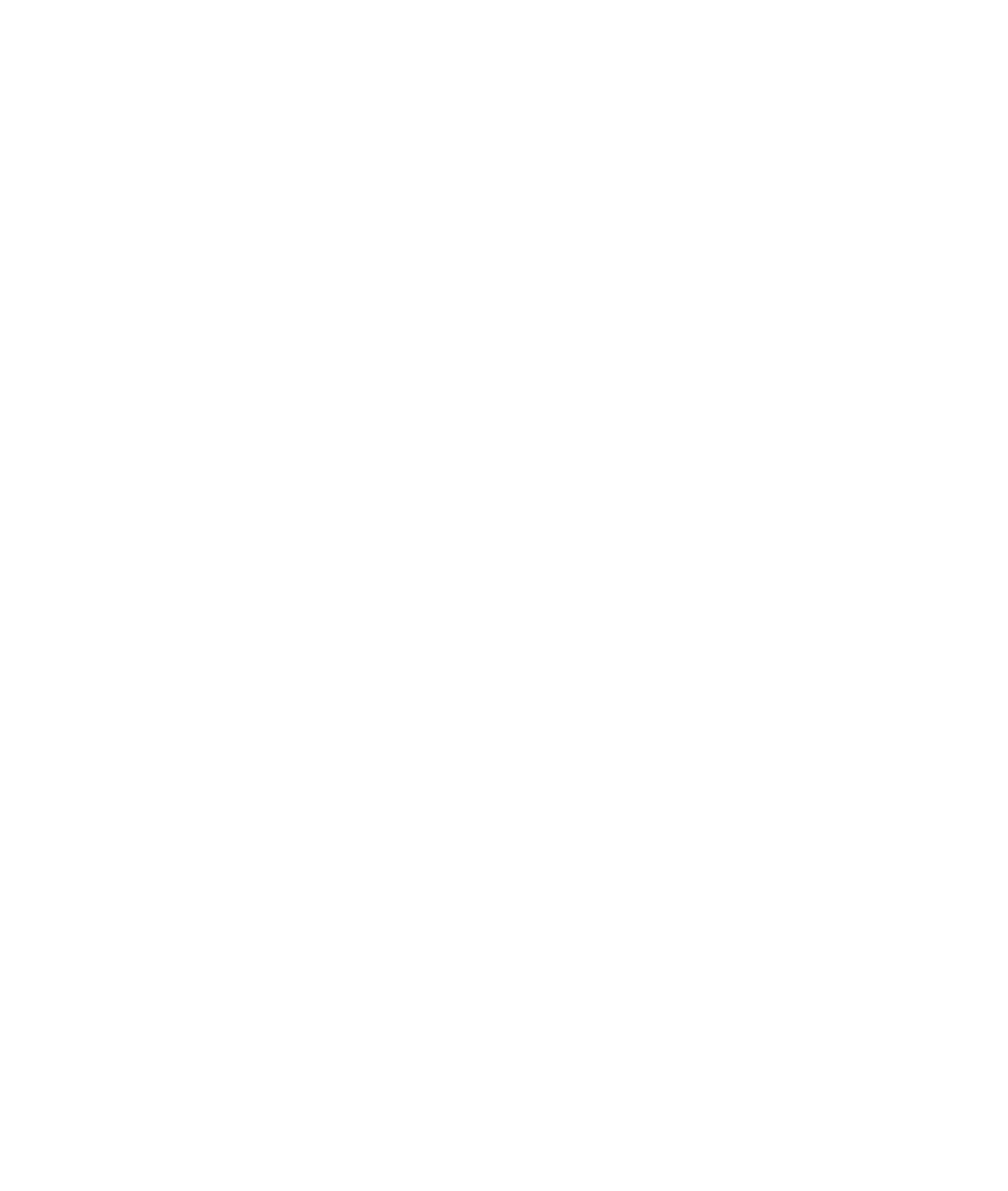 logo v b