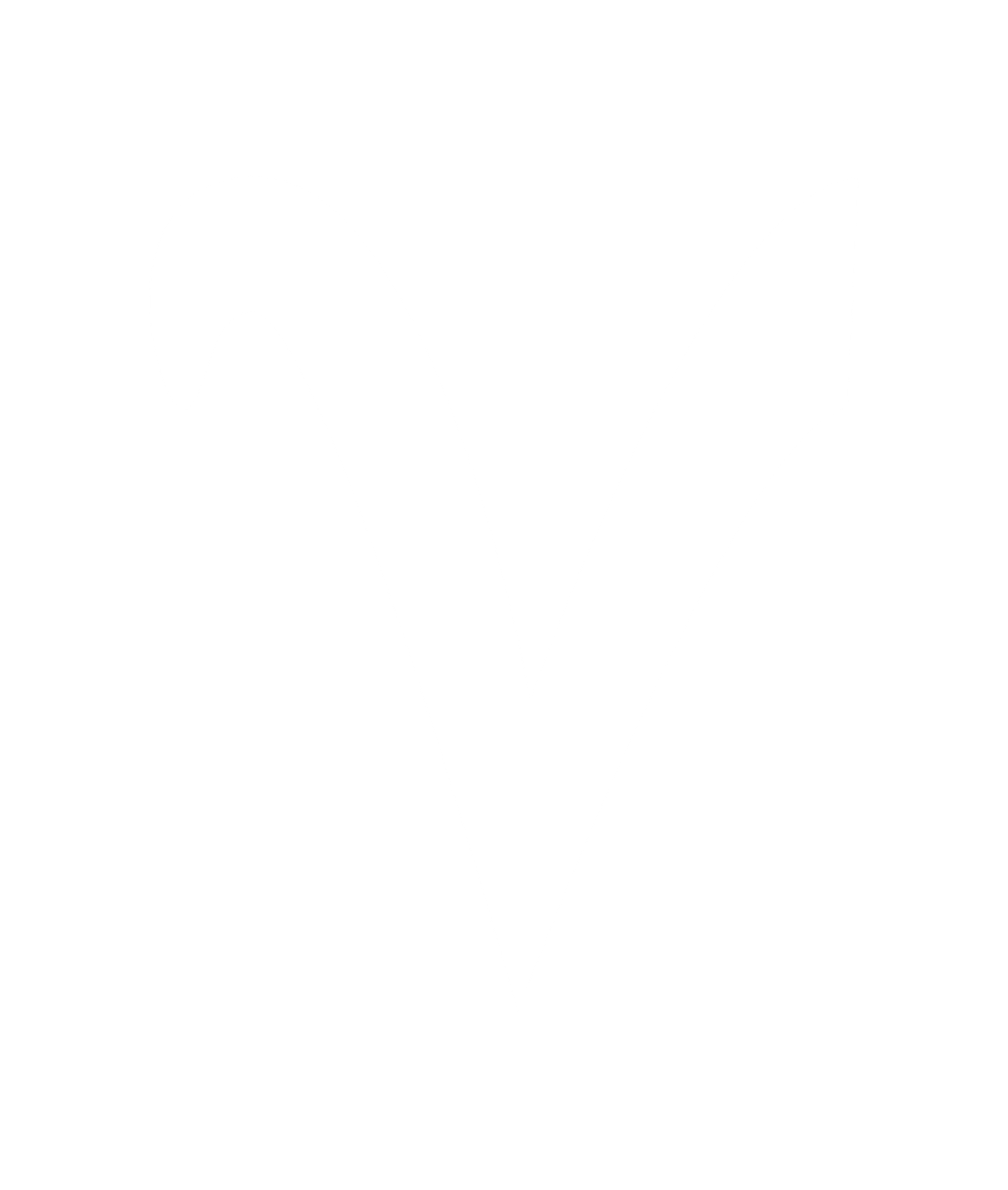 logo v b