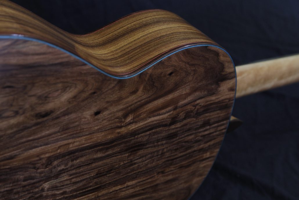 Guitarra Pau ferro