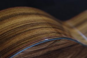 guitarra Pao Ferro luthier